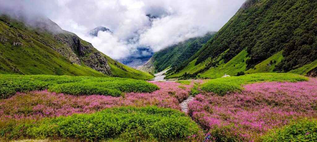 Valley of flowers Trek