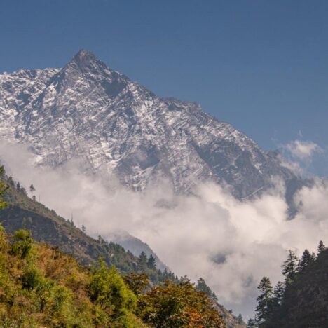 What’s Included in a Guided Trek Experience? (Food, Stay, Permits)